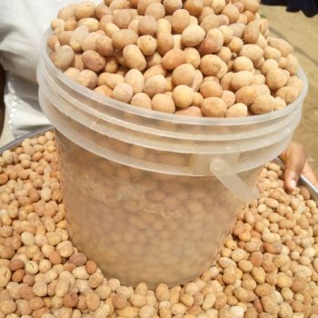 peanuts